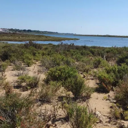 Happy Tavira - Inspire No Golden Club 公寓 卡巴纳斯·德·塔维拉